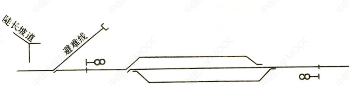 image-20241223104903982