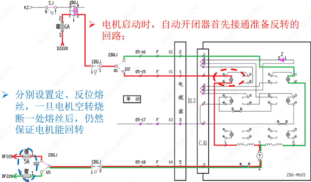 image-20241225225552230